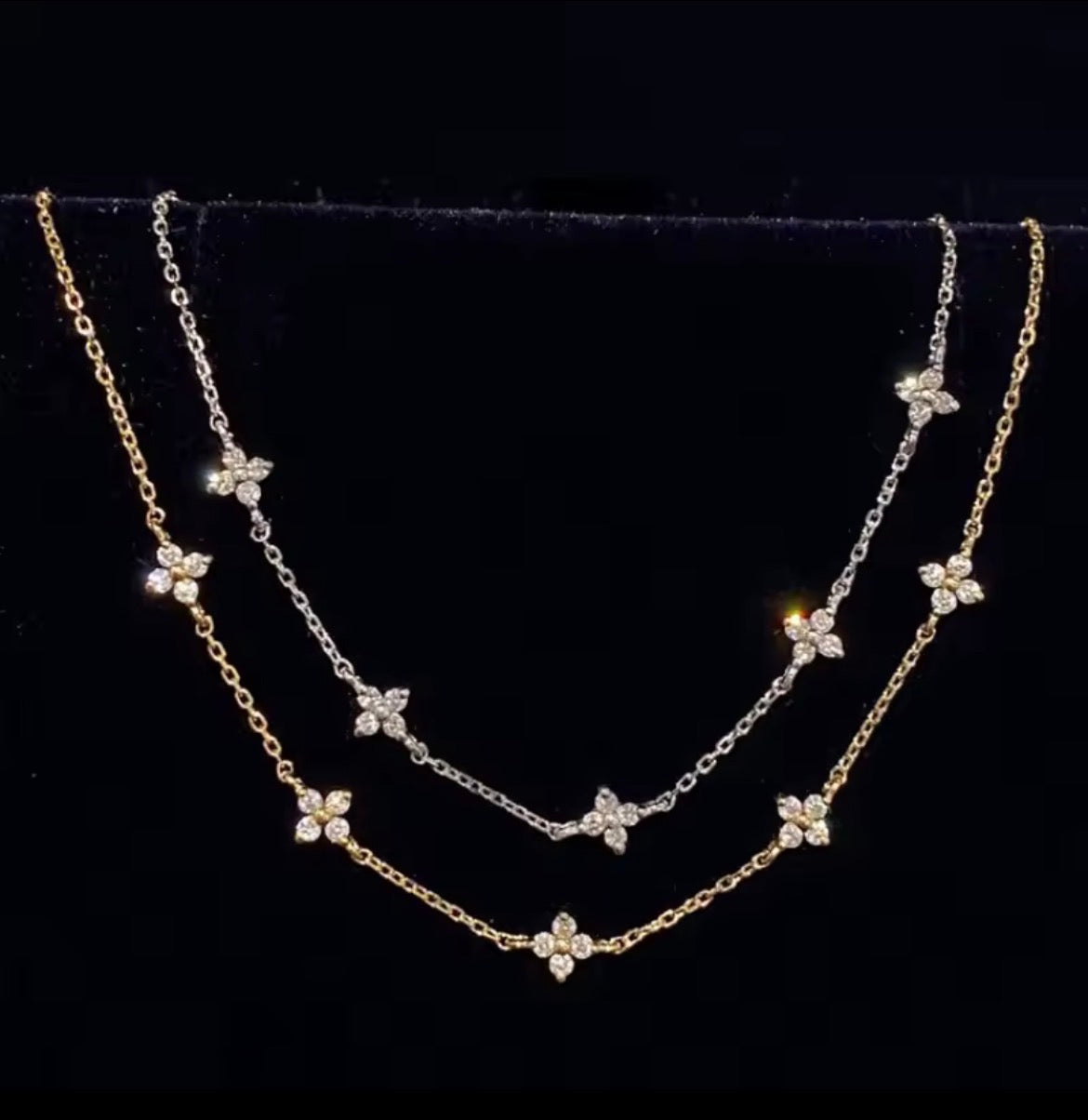 Constellation Florale